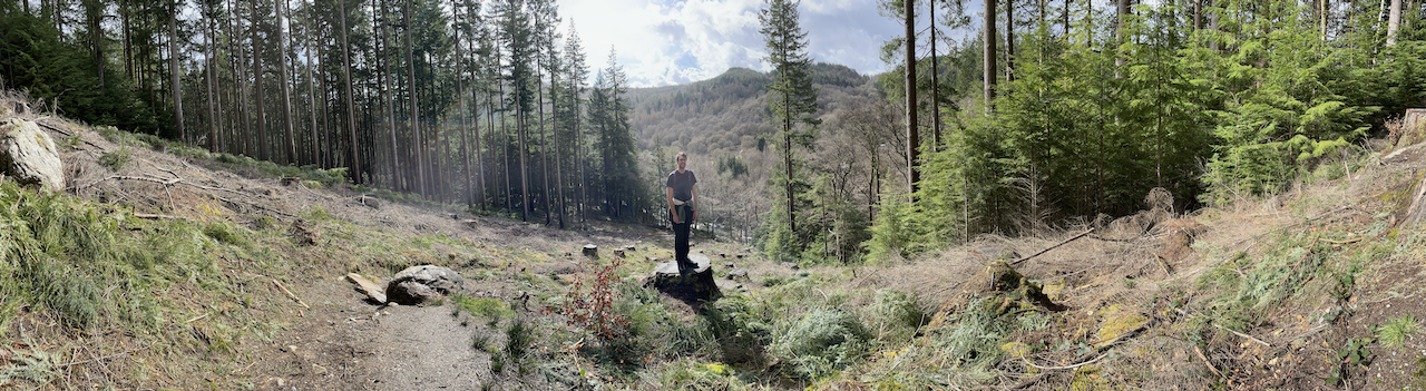 Panorama photo